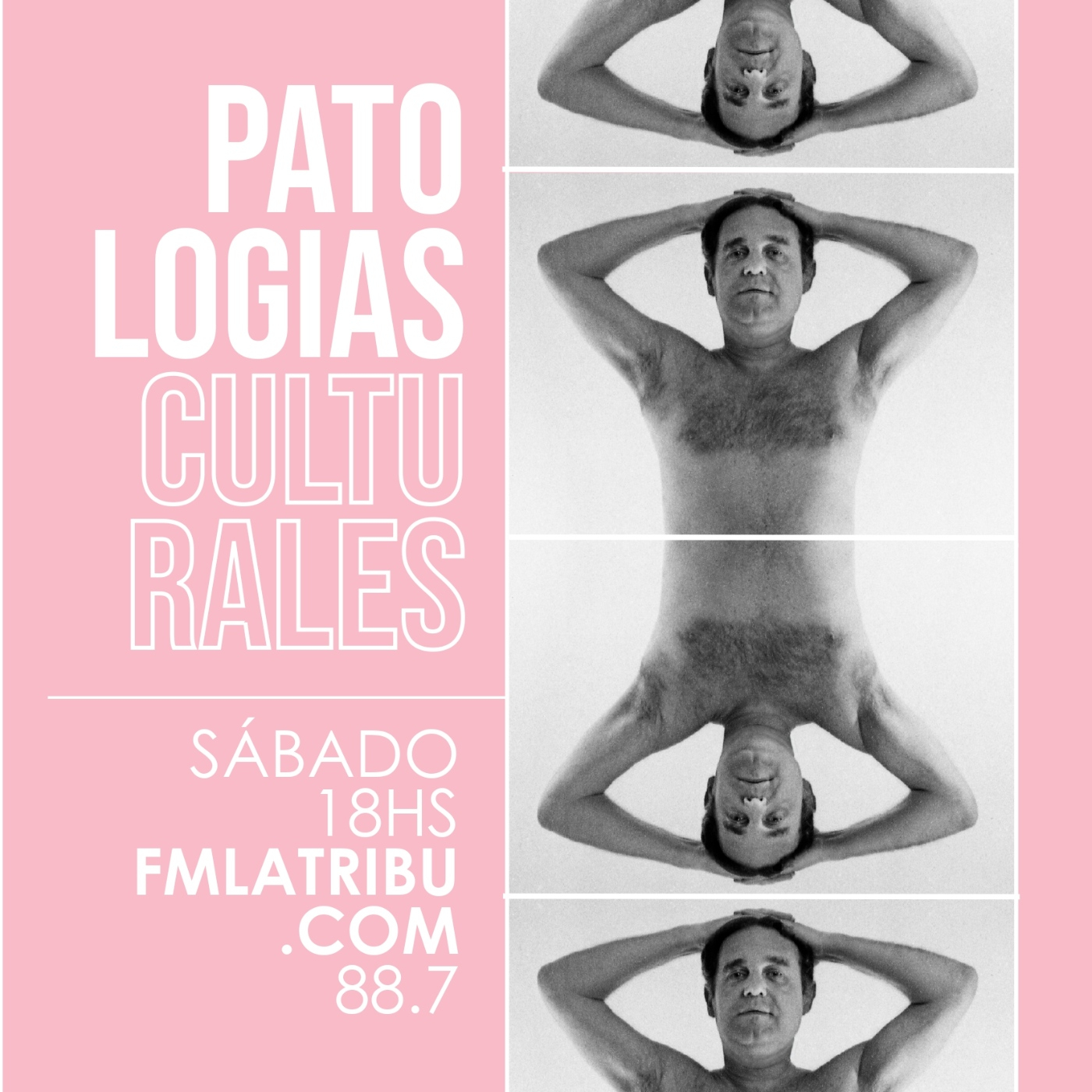 Patologías Culturales