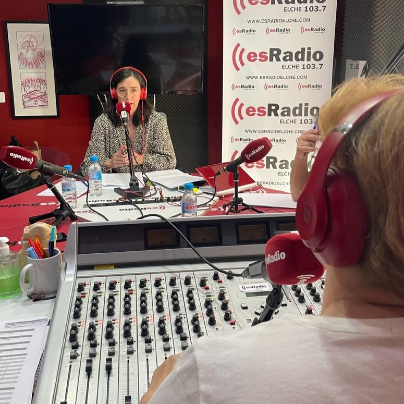 ''La Dama debería volver a Elche pero con un proyecto que atraiga turismo e investigación''. episode artwork