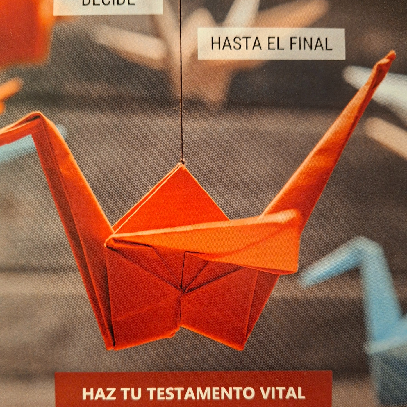 Entrevista a Derecho a Morir Dignamente episode artwork
