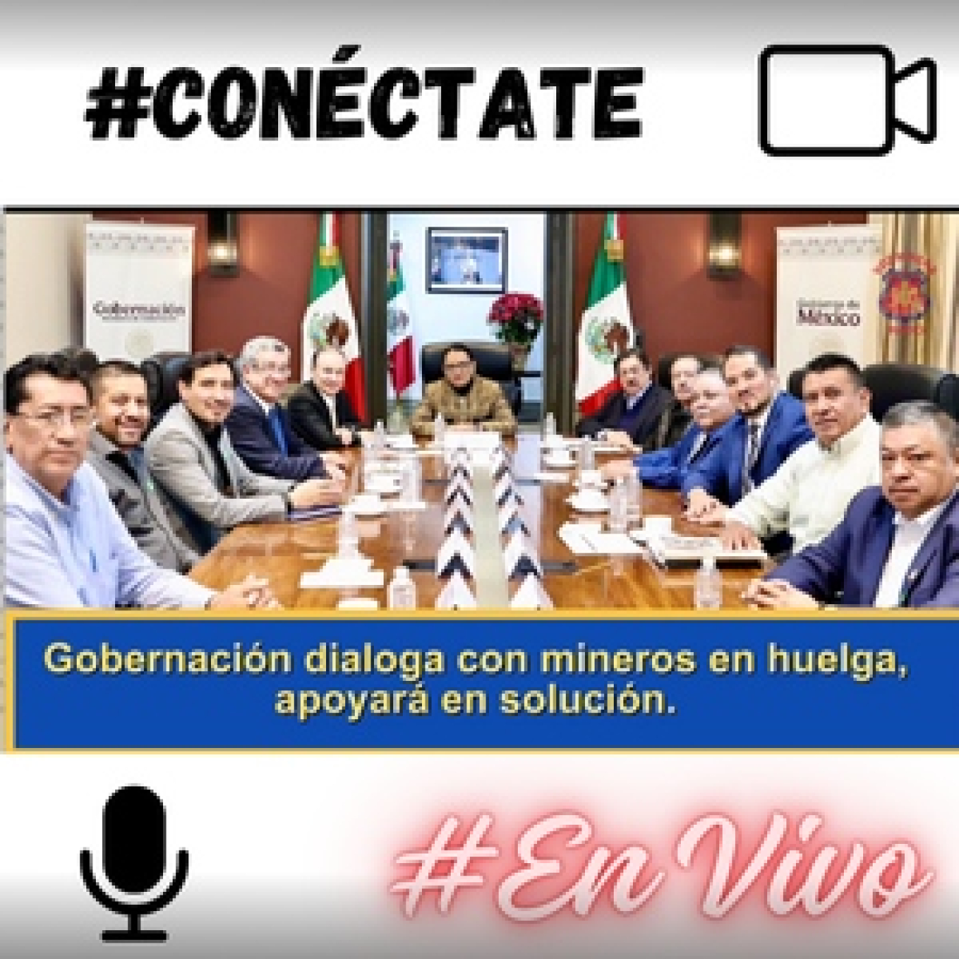 Voz Minera MX