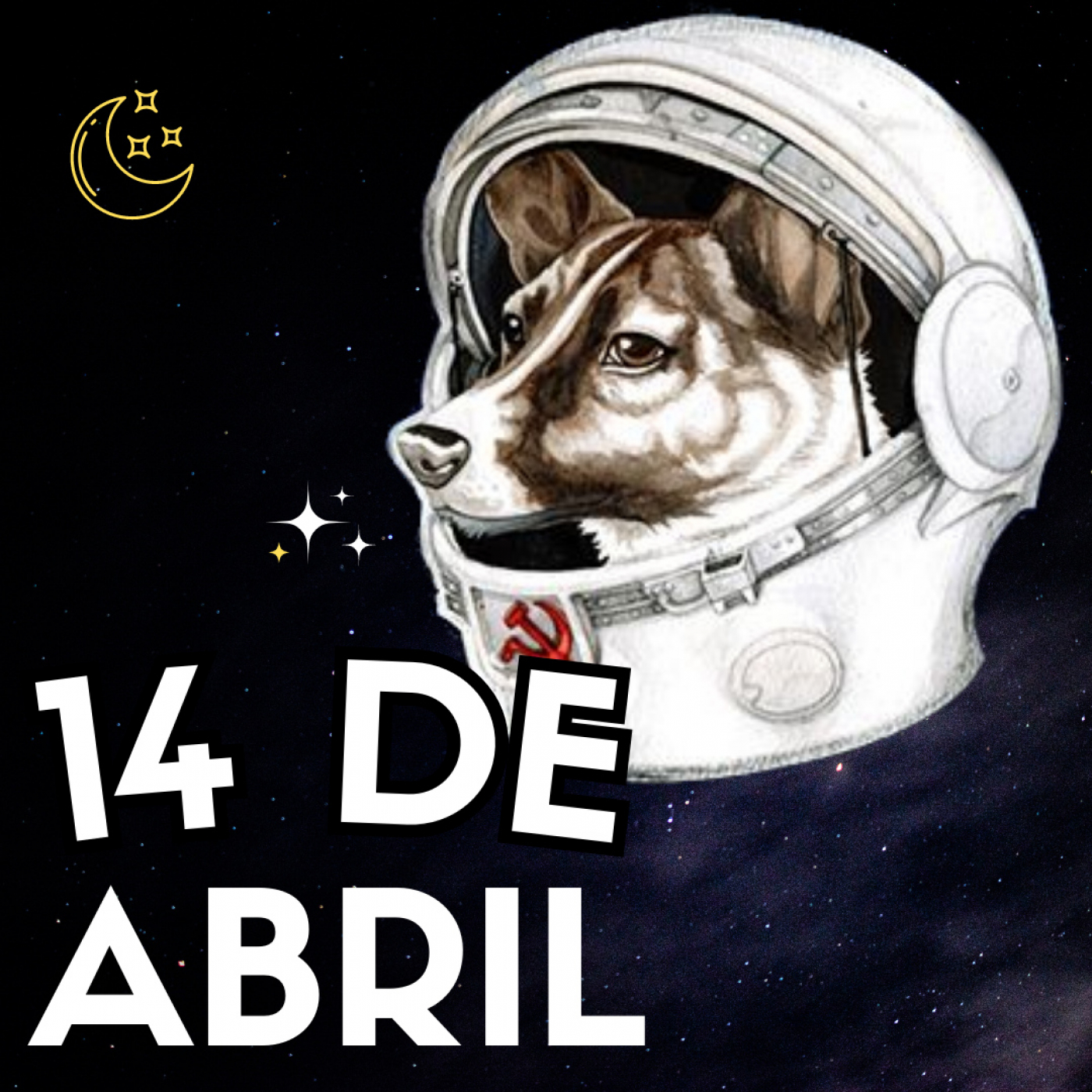 Matinal 14 de Abril 2023 El rey, el ave y la perrita Laika episode artwork