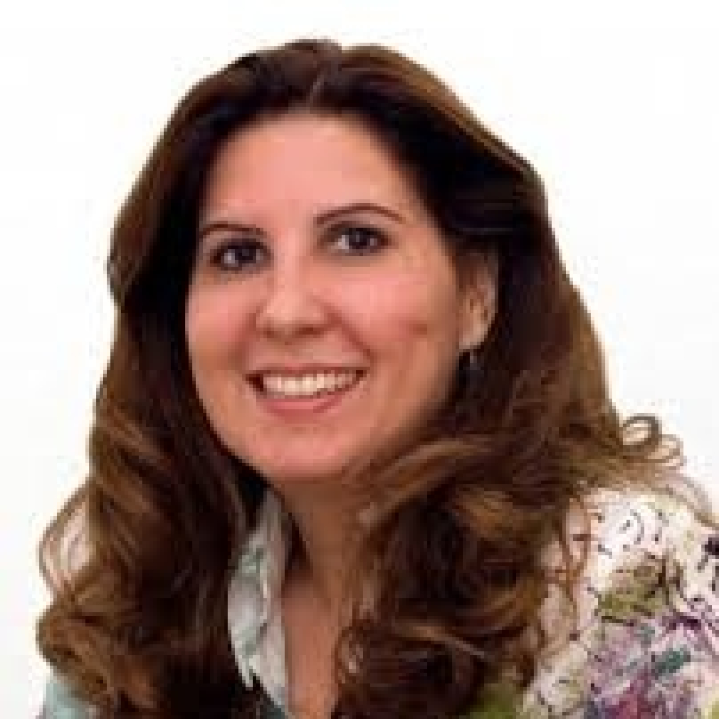 Odalys Padrón; presupuestos para publicidad y propaganda (20-11-2025)