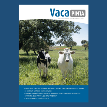 Presentación de Vaca pinta 52