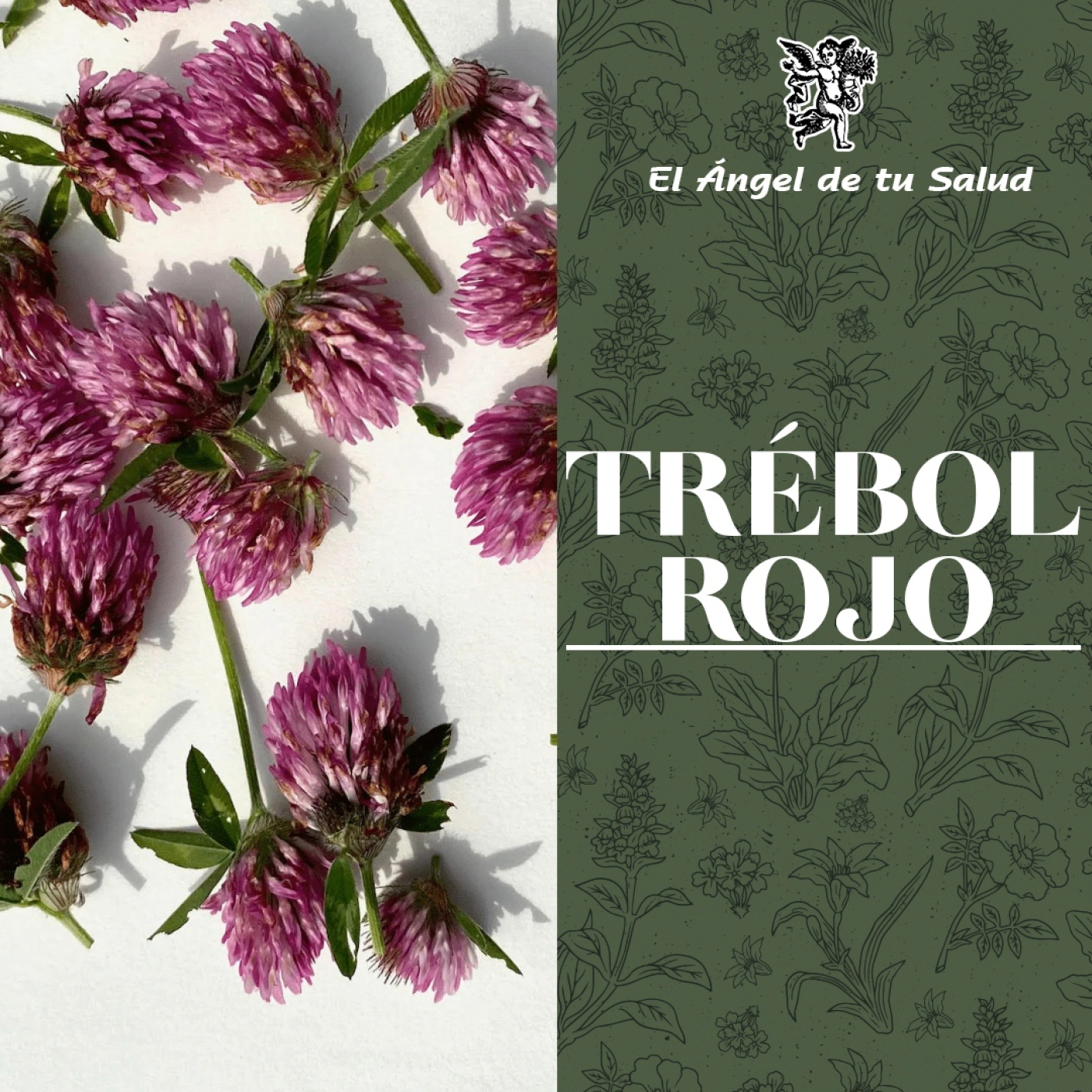 El Ángel de tu Salud - Trébol Rojo** episode artwork