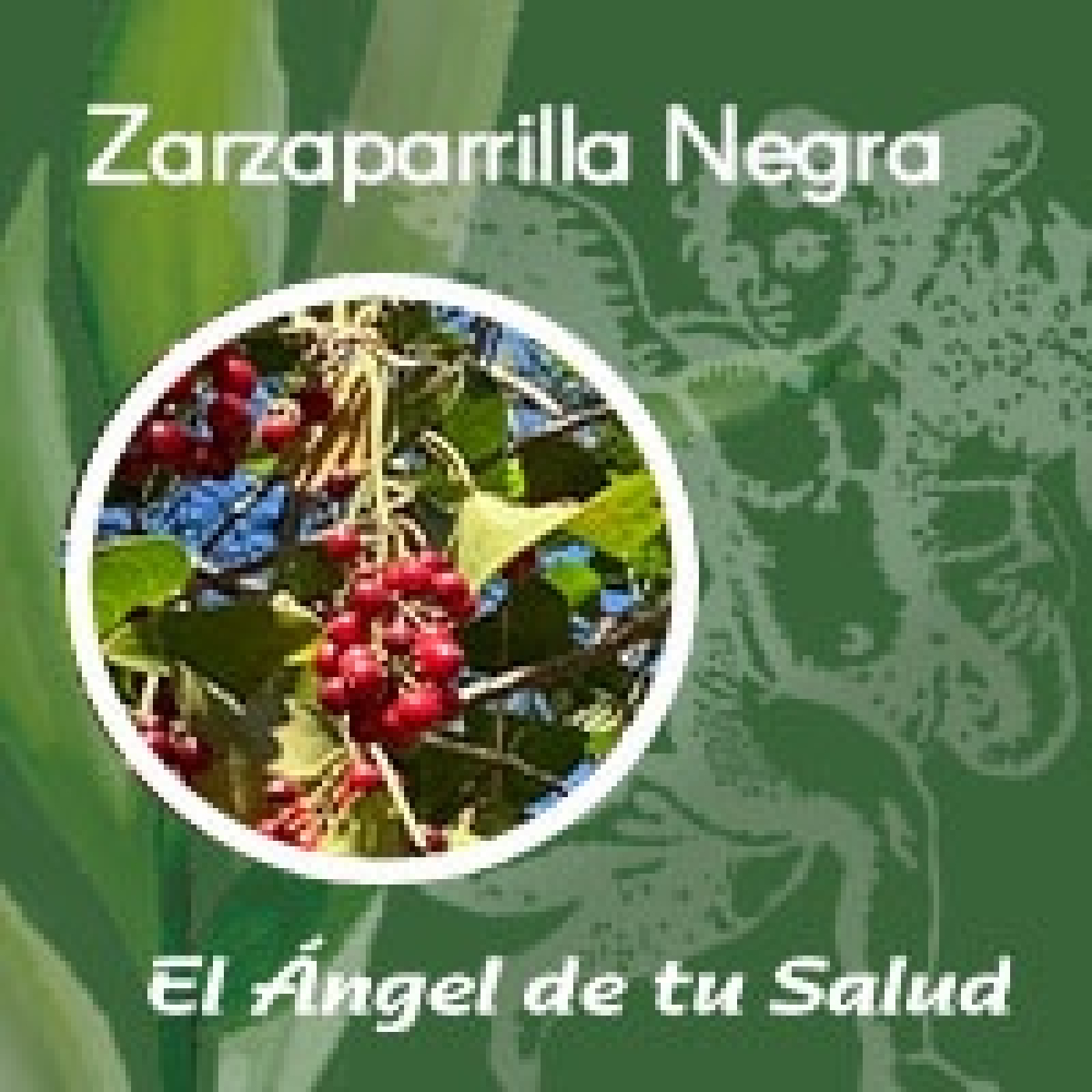 El Ángel de tu Salud - Zarzaparrilla Negra** episode artwork