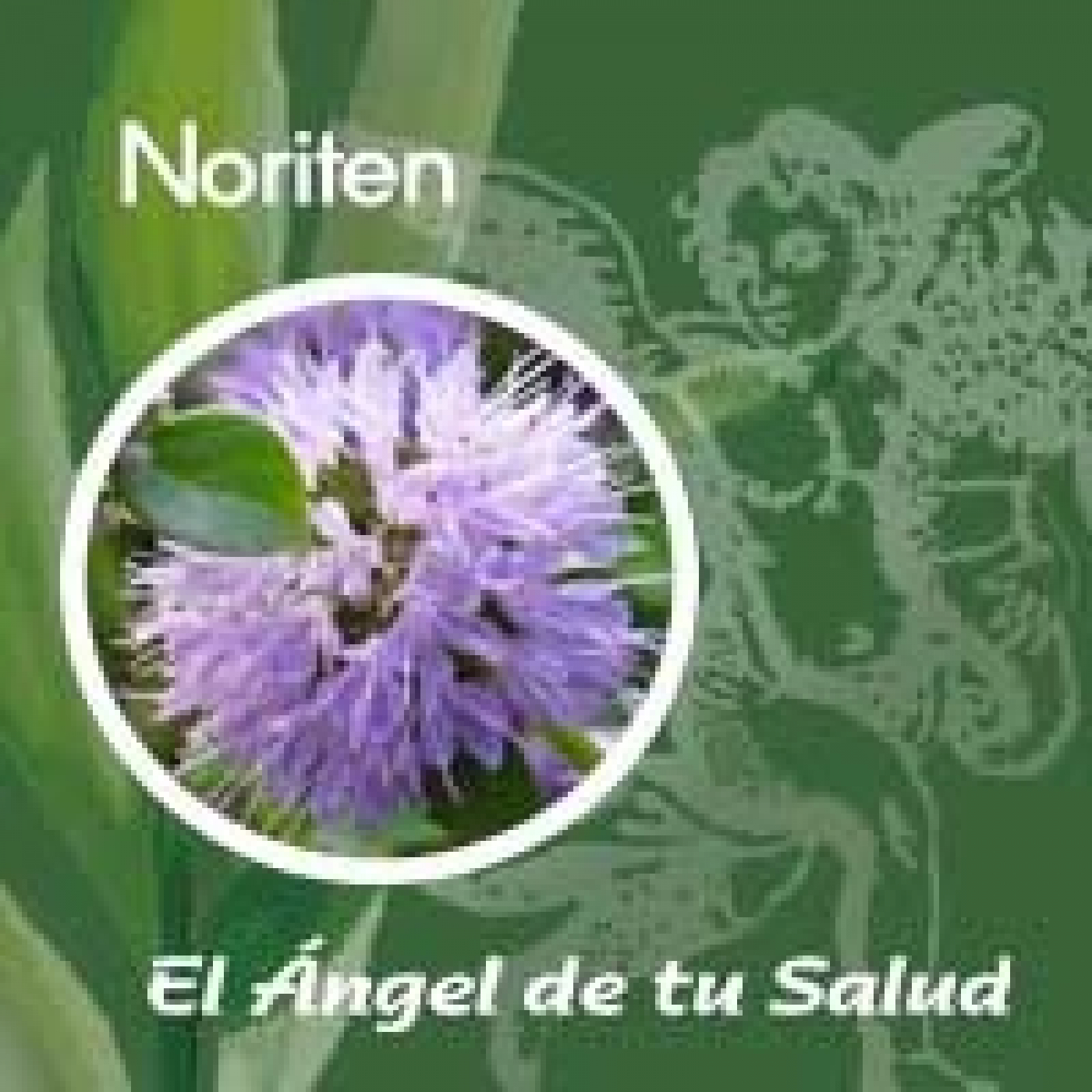 El Ángel de tu Salud - Noriten** episode artwork