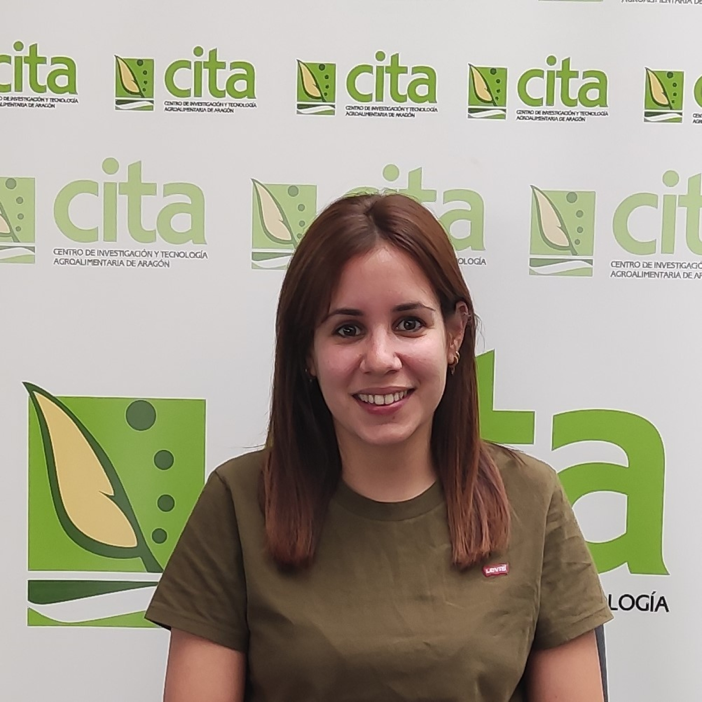 CITA de Aragón: Apariciones en radio