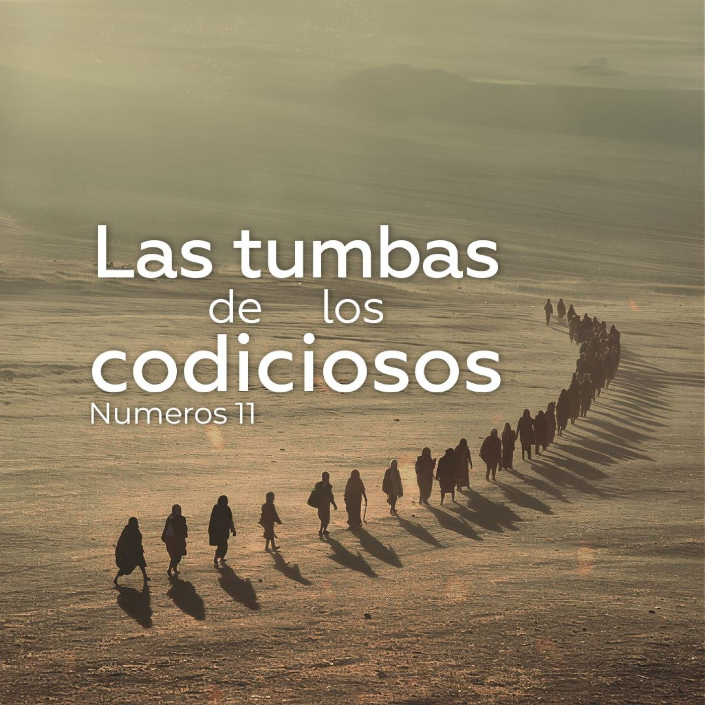 Prédicas