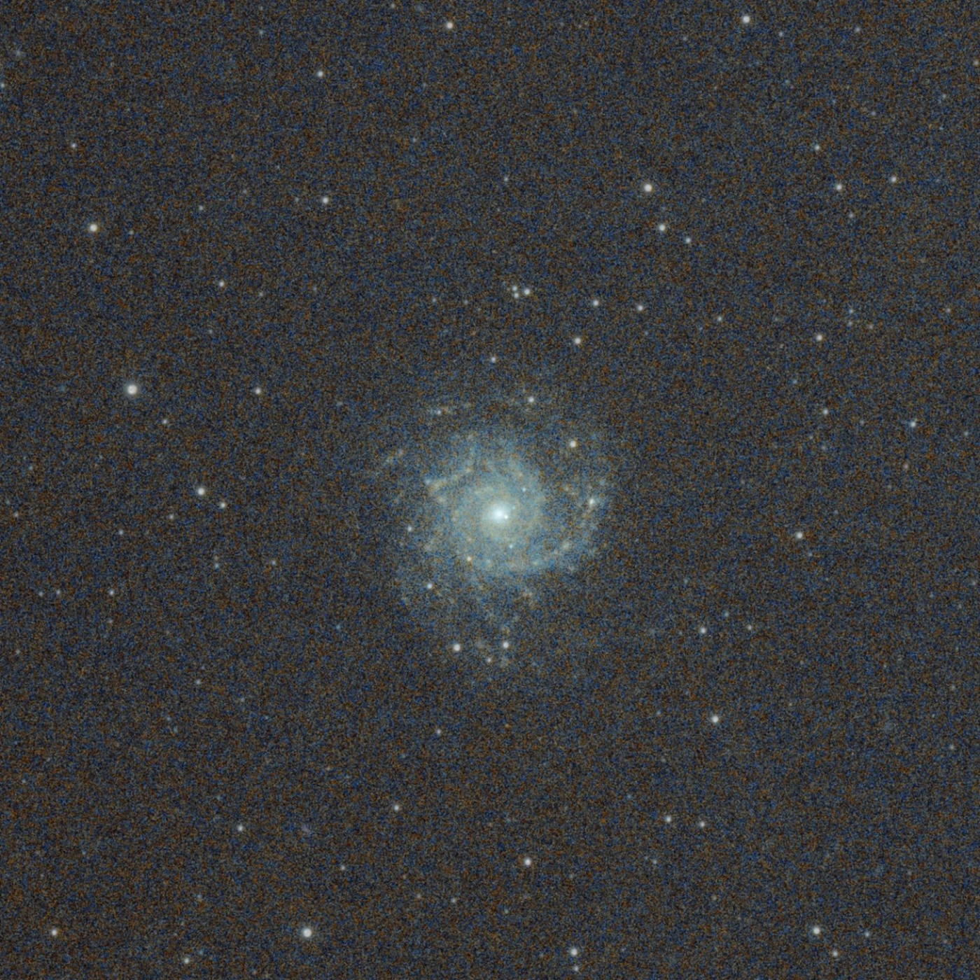 Bajo las estrellas, una mirada al universo