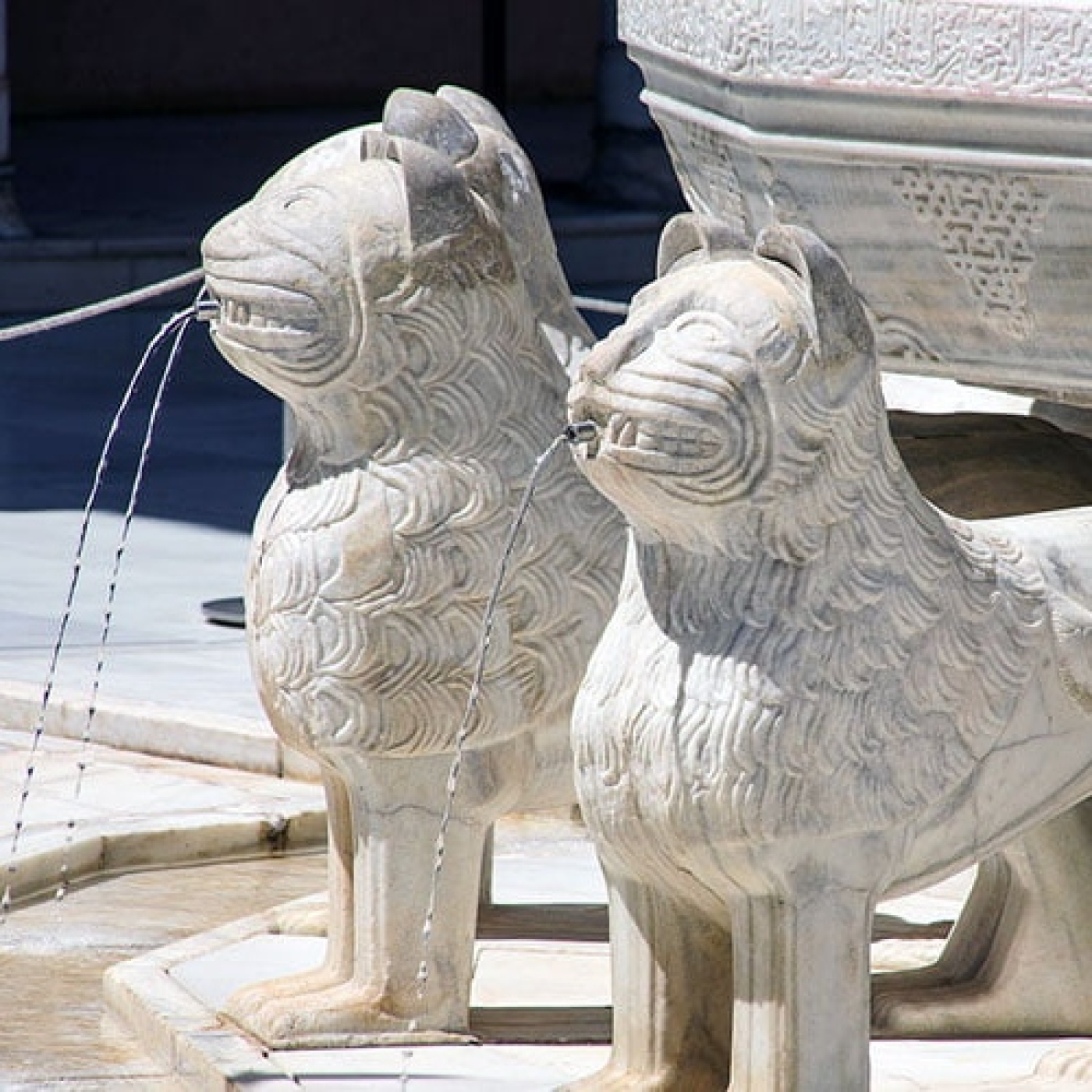 Daniel Seijas Palco de Estrelas