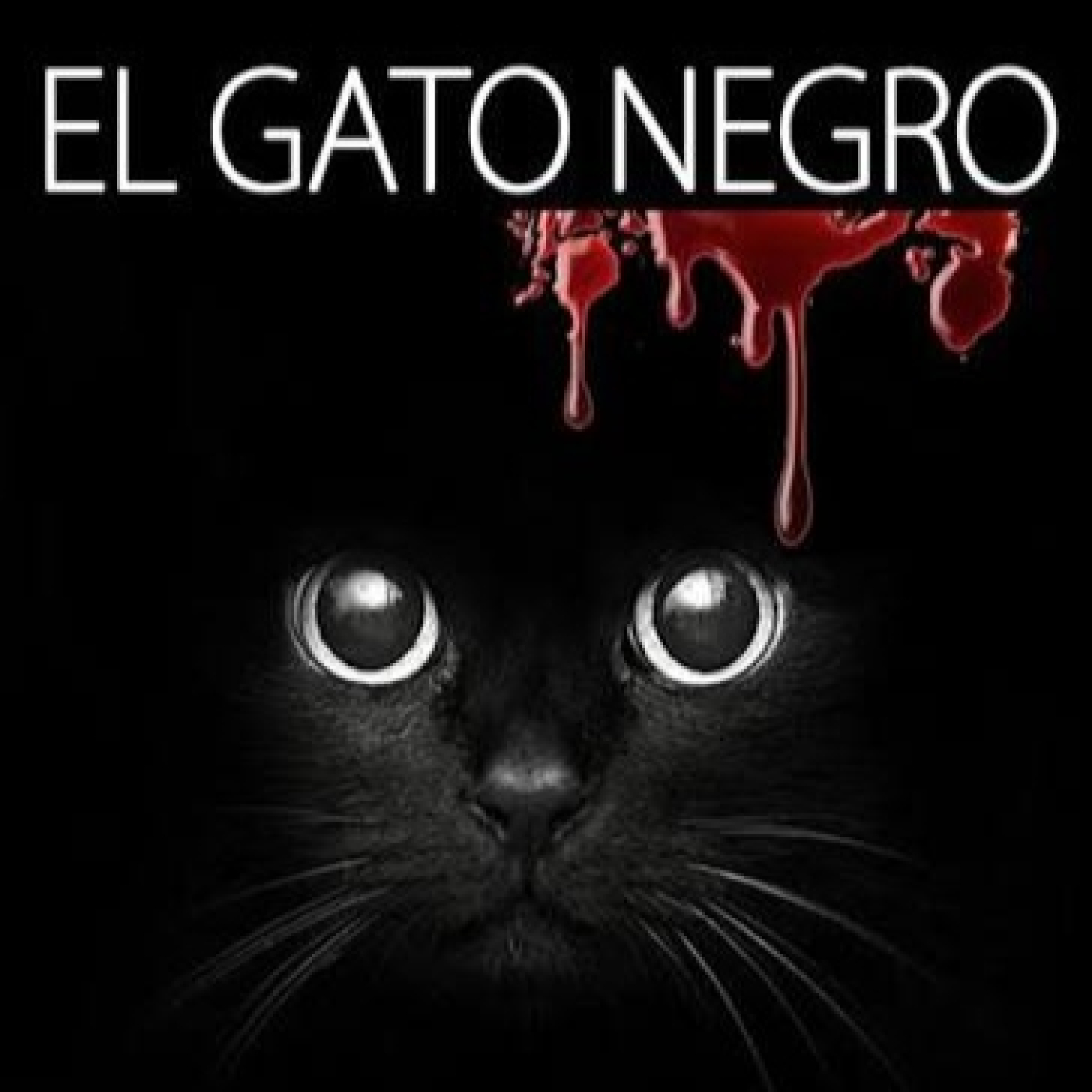 El gato negro - Edgar Allan Poe episode artwork