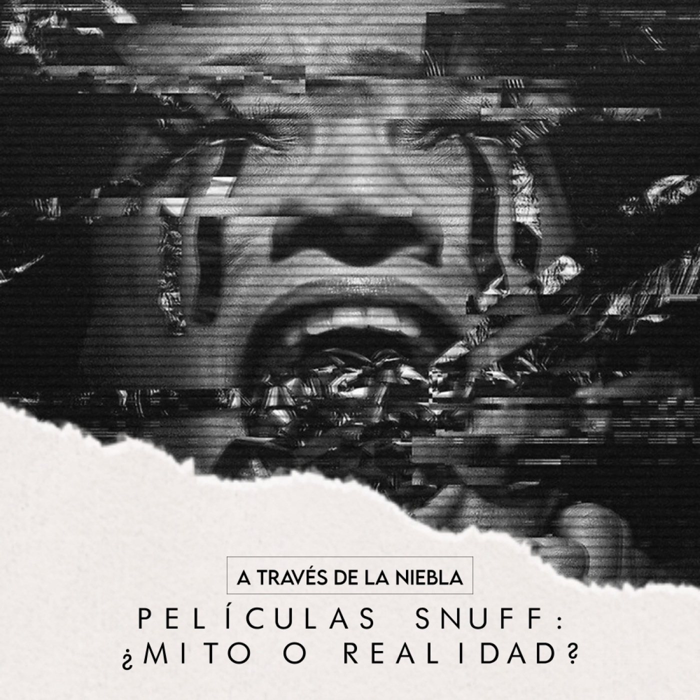 A Través de la Niebla