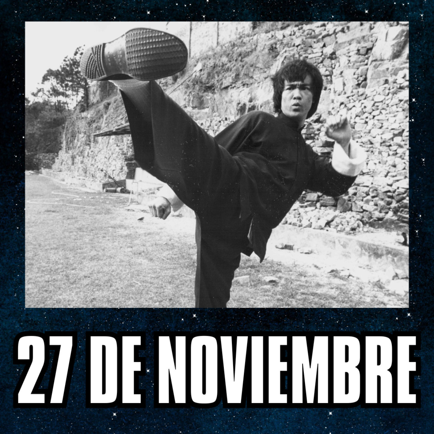 27 de Noviembre // Bruce Lee y Steve Urkel episode artwork