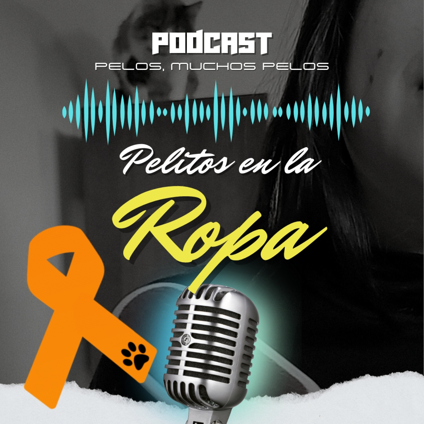 PELR: Pelitos en la Ropa