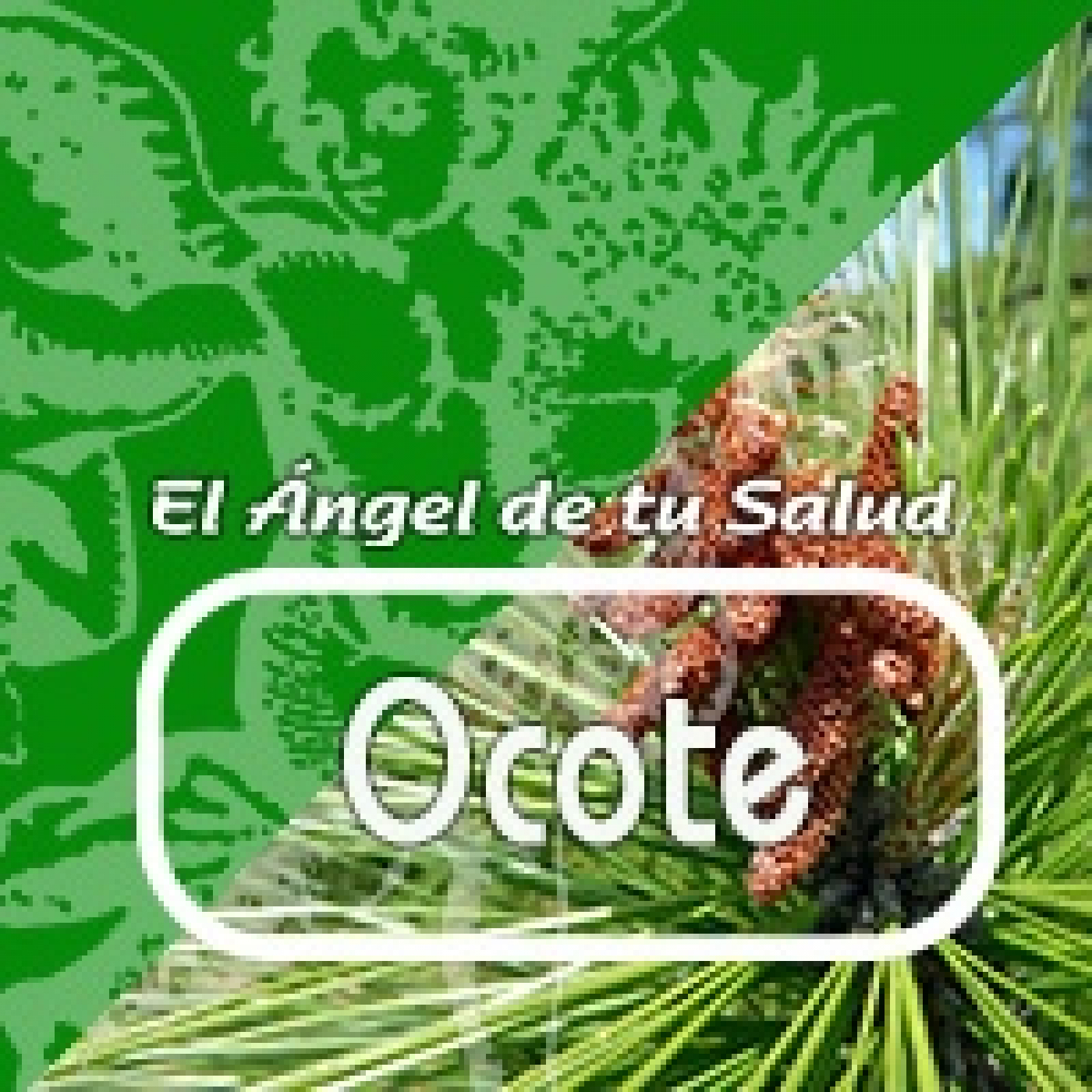 El Ángel de tu Salud -OCOTE ***