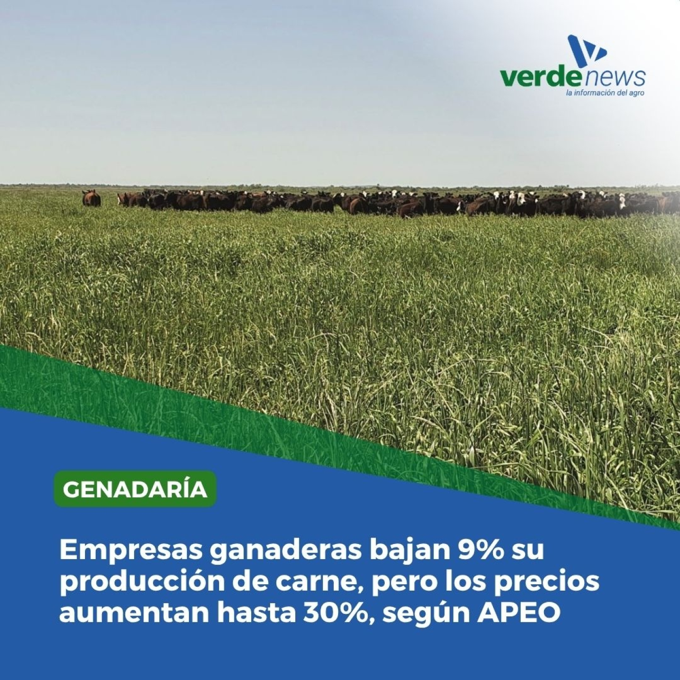Diego Varalla - Consultora APEO - 19/05/25 episode artwork