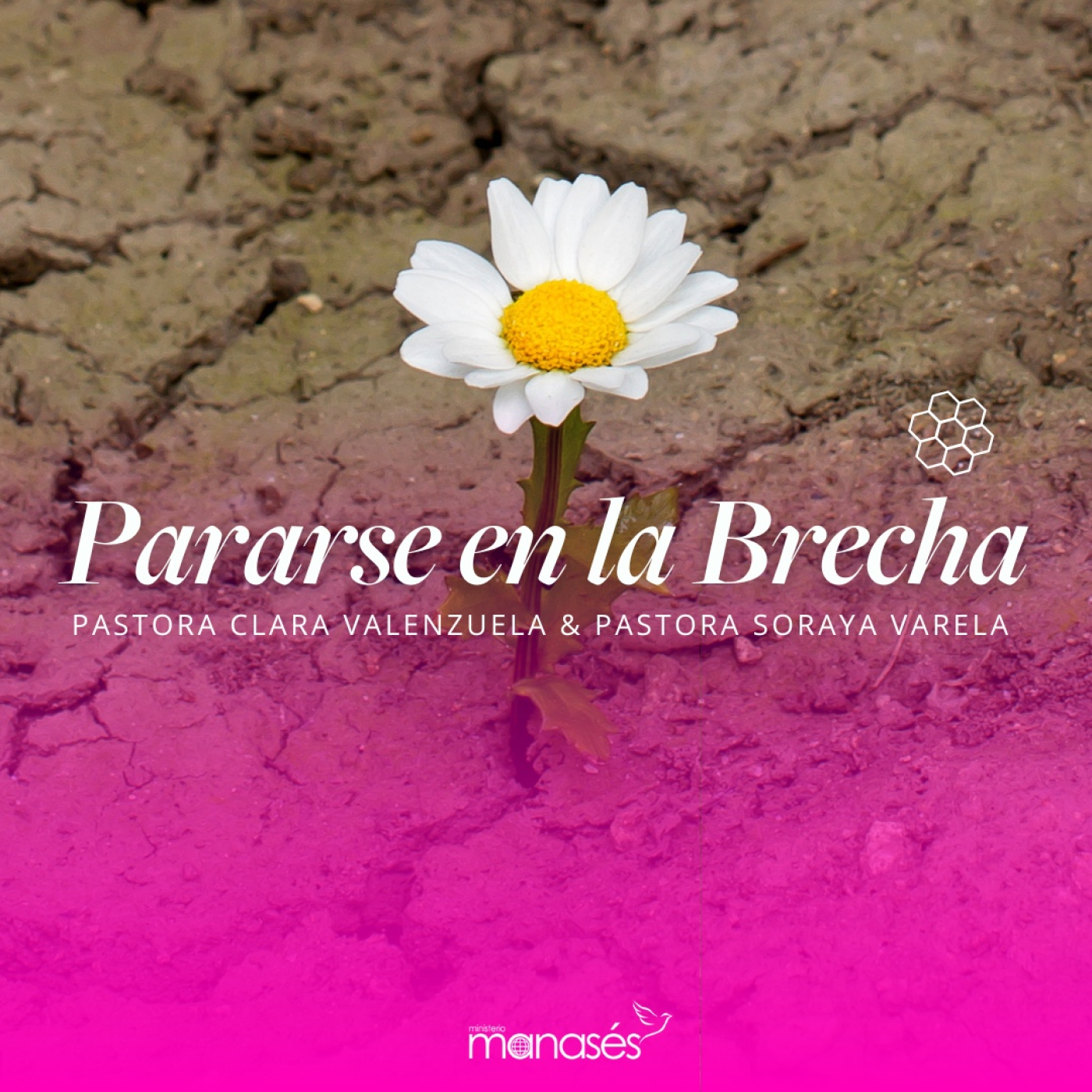Pararse en la brecha episode artwork