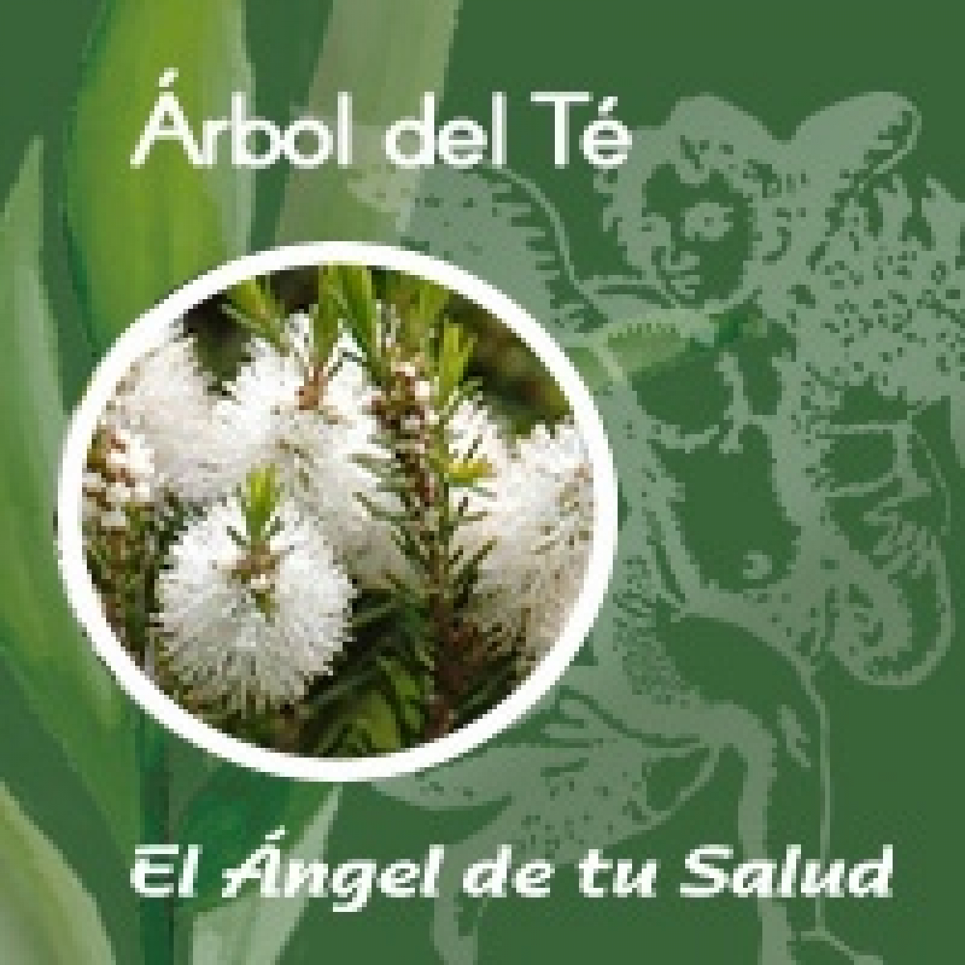 El Ángel de tu Salud - Árbol del Té* episode artwork