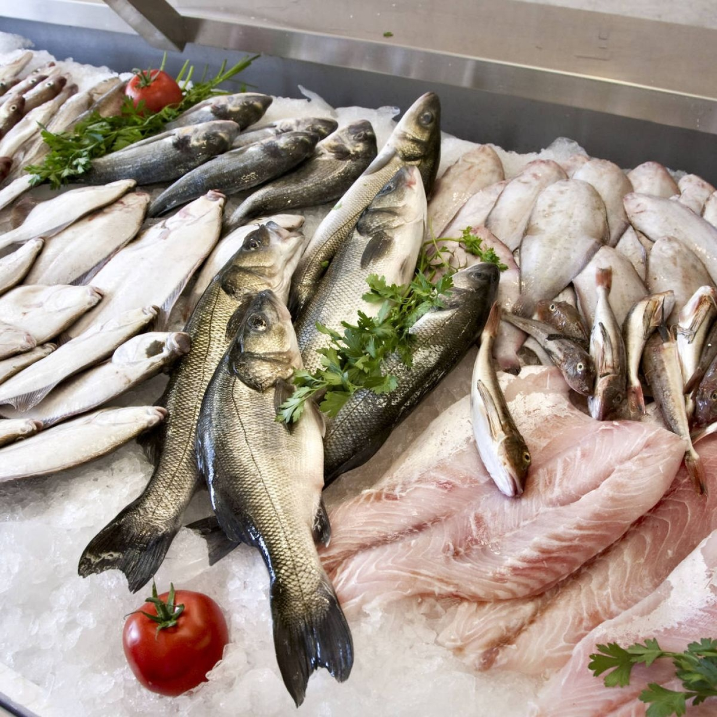 La importancia del pescado en nuestra dieta episode artwork