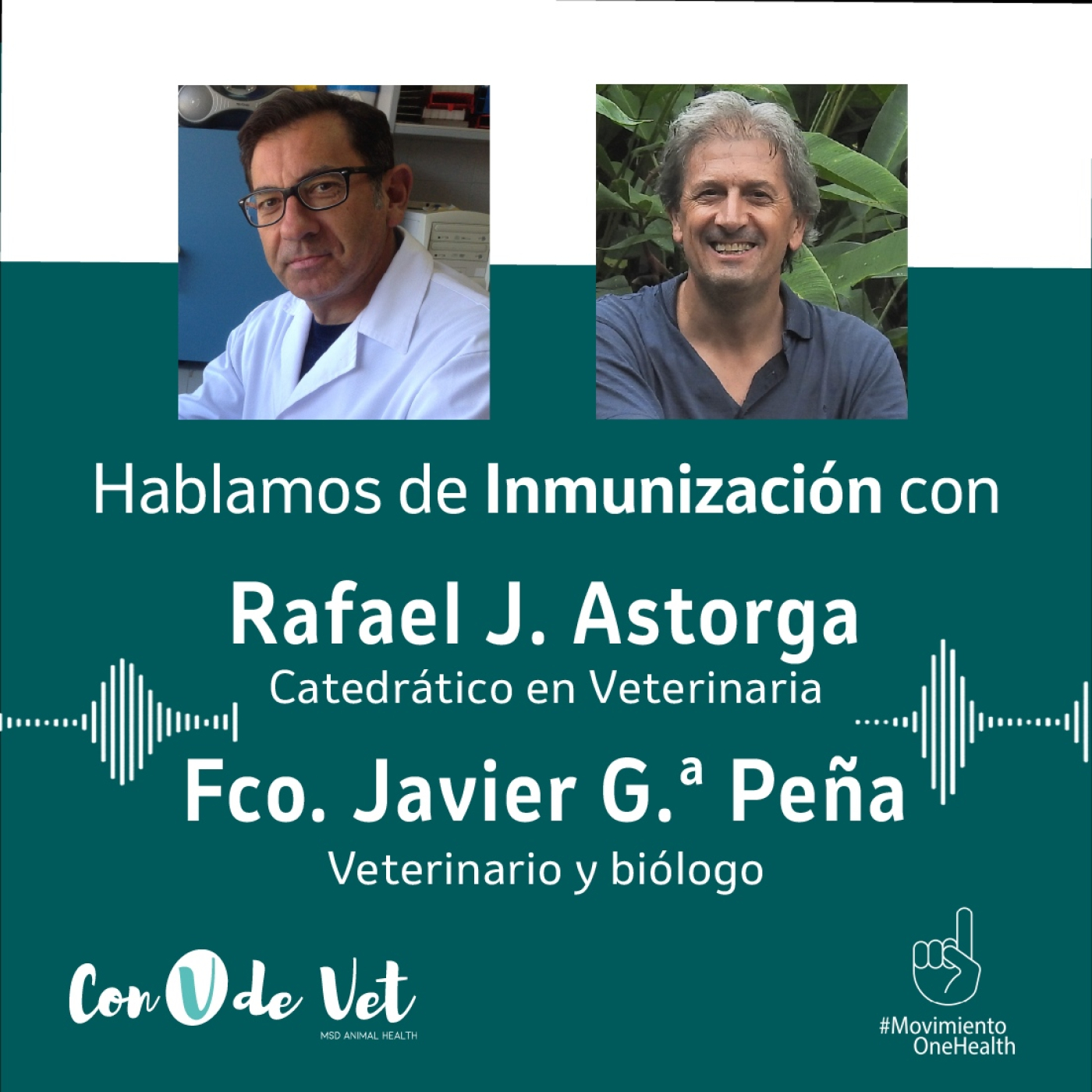 Con V de Vet Radio