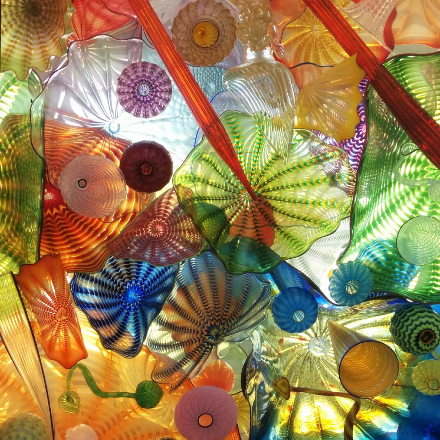 Entre el Arte y el Criterio de Dale Chihuly episode artwork