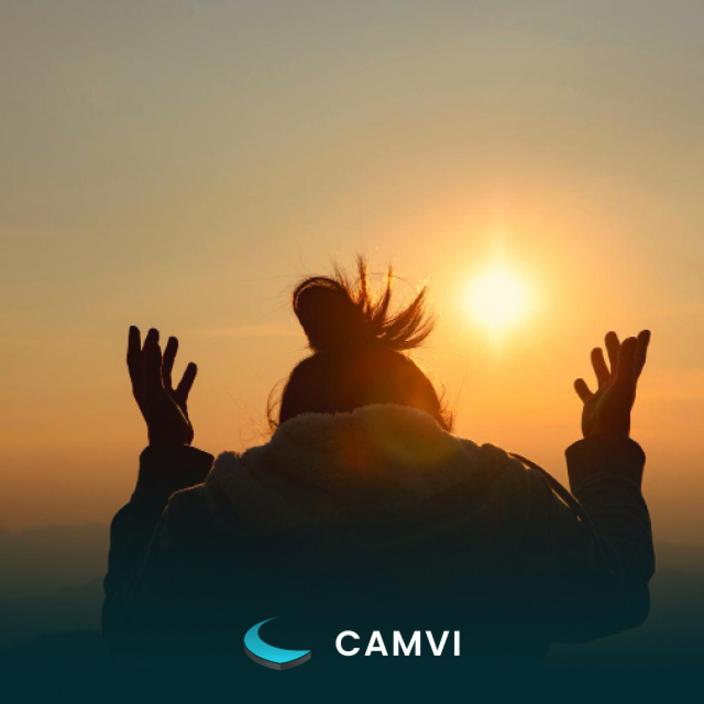 CAMVI