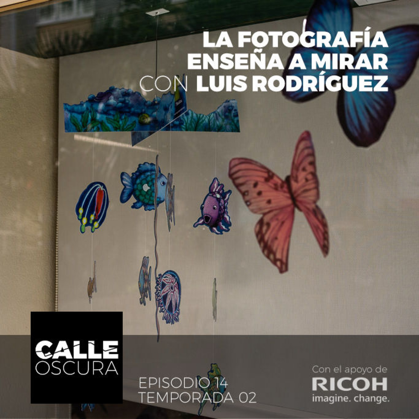 Calle Oscura 26: La Fotografía Enseña a Mirar, con Luis Rodríguez 