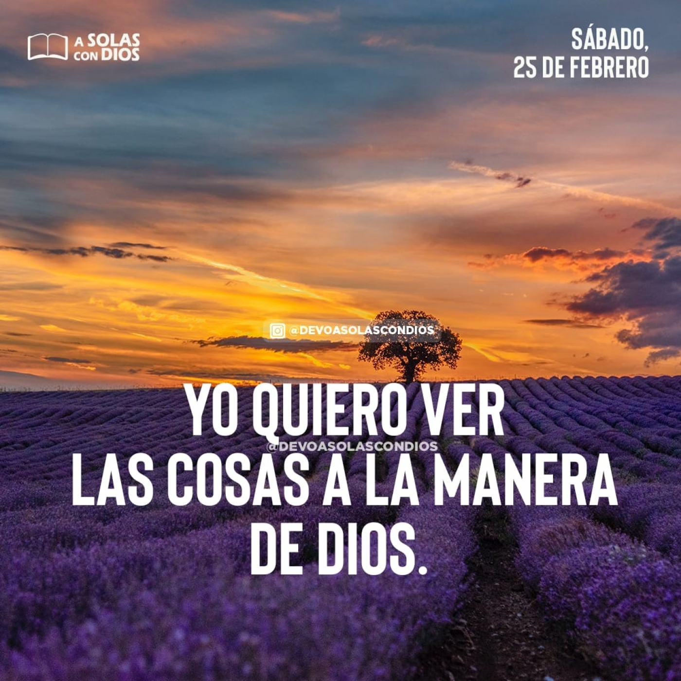 A Solas con Dios