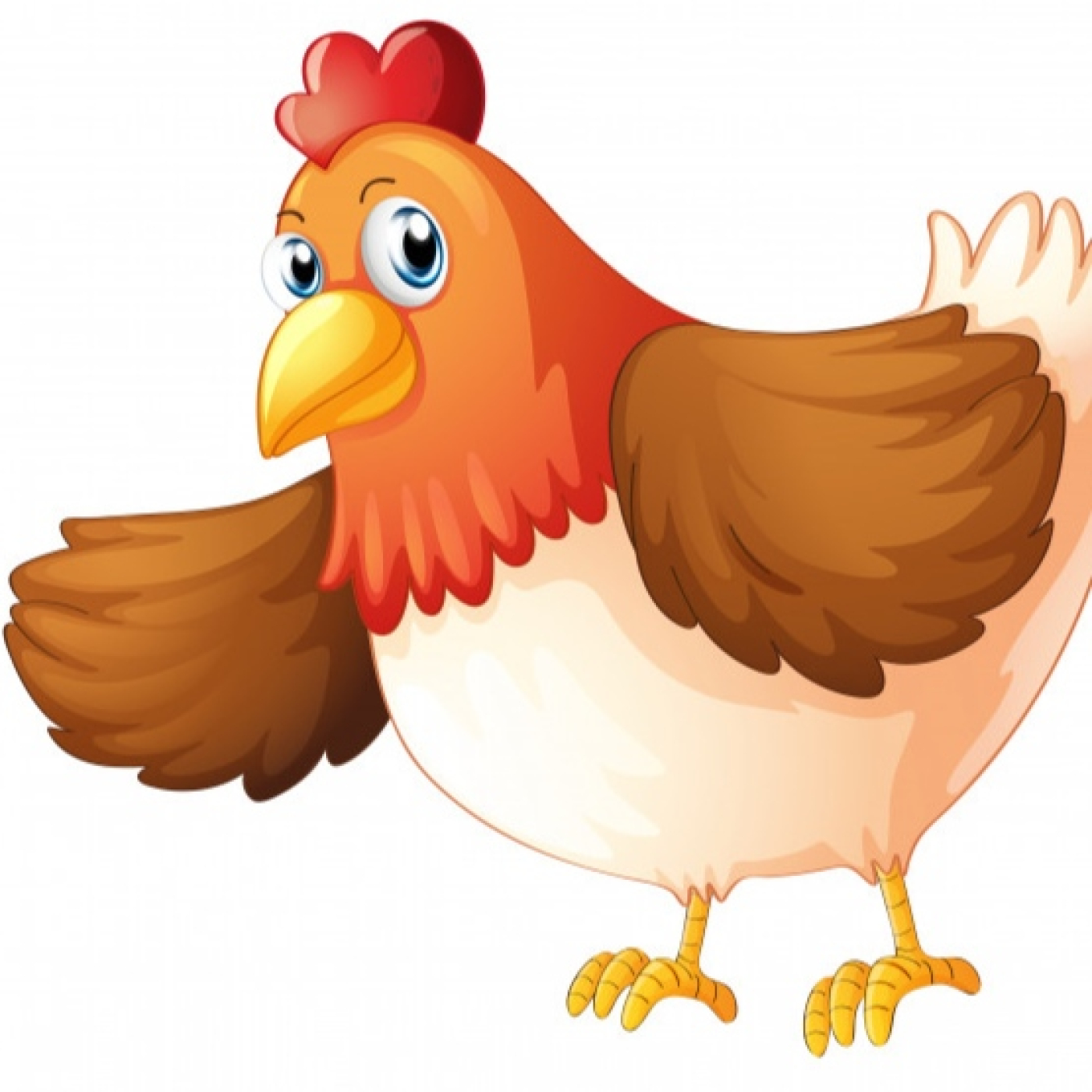gallina pavo aullando