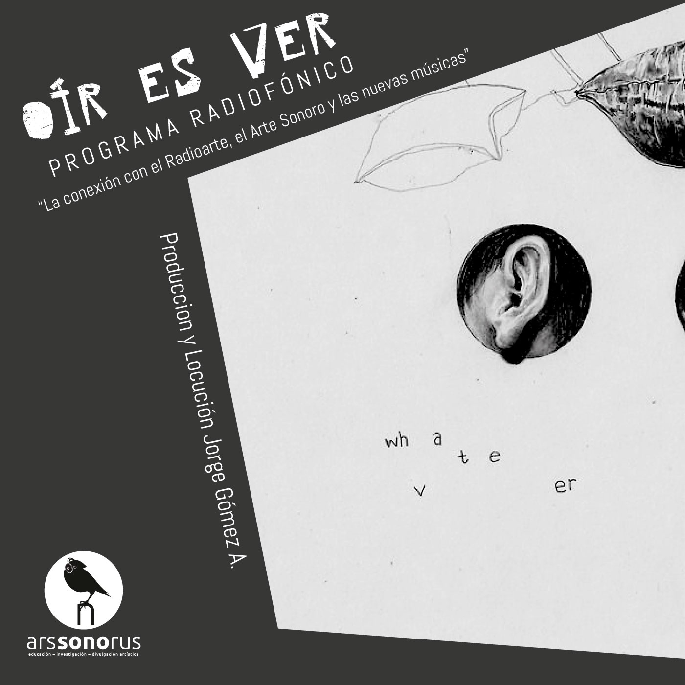 Frases volátiles | Ars Sonorus episode artwork