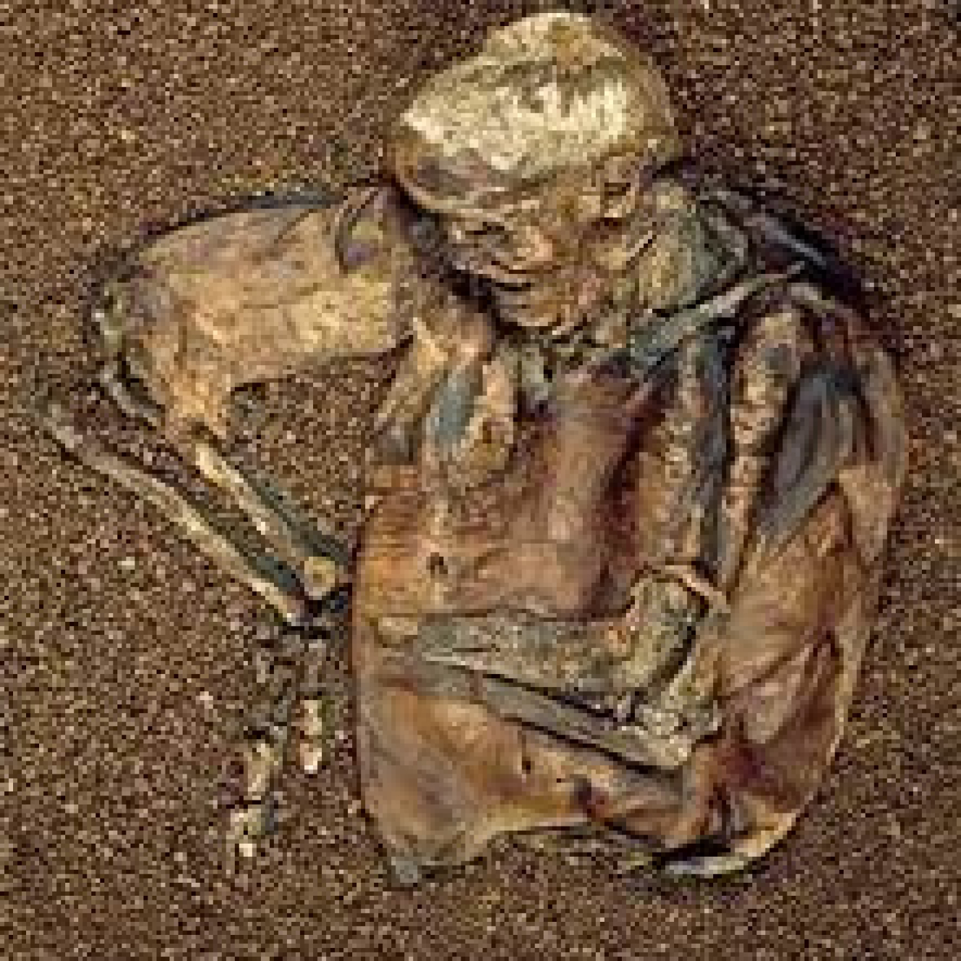 Tesoros malditos 10: El hombre de Lindow · El coche de Francisco Fernando · El conquistador de Mongolia · Tesoro vikingo