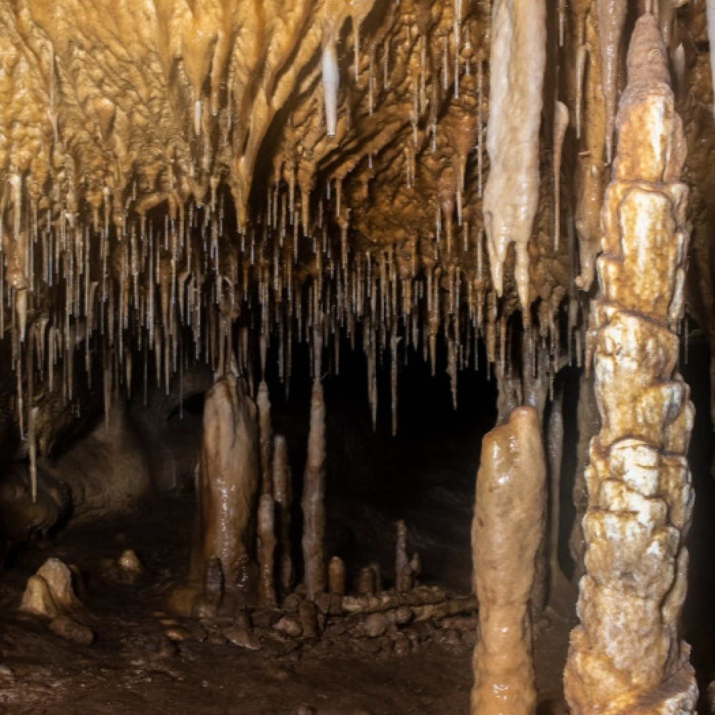 El número 81: Indiana Jones, arqueología y la cueva del Arco