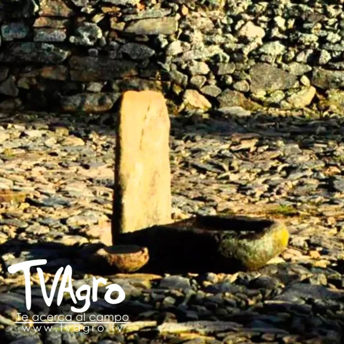 TV AGRO