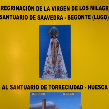 embed image