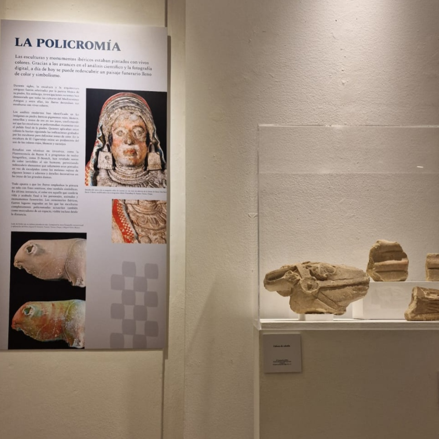 Entrevista Noa Del Toro, conservadora responsable del museo El Cigarralejo episode artwork