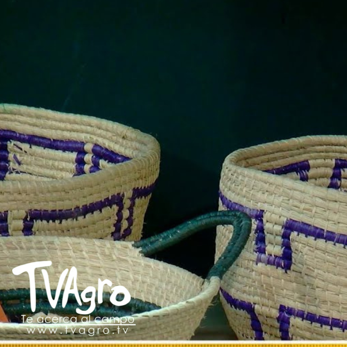 TV AGRO