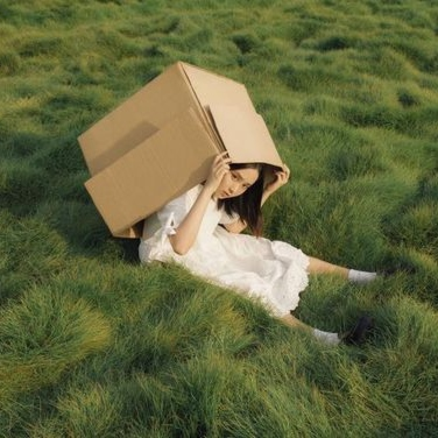 Paréntesis Cultural