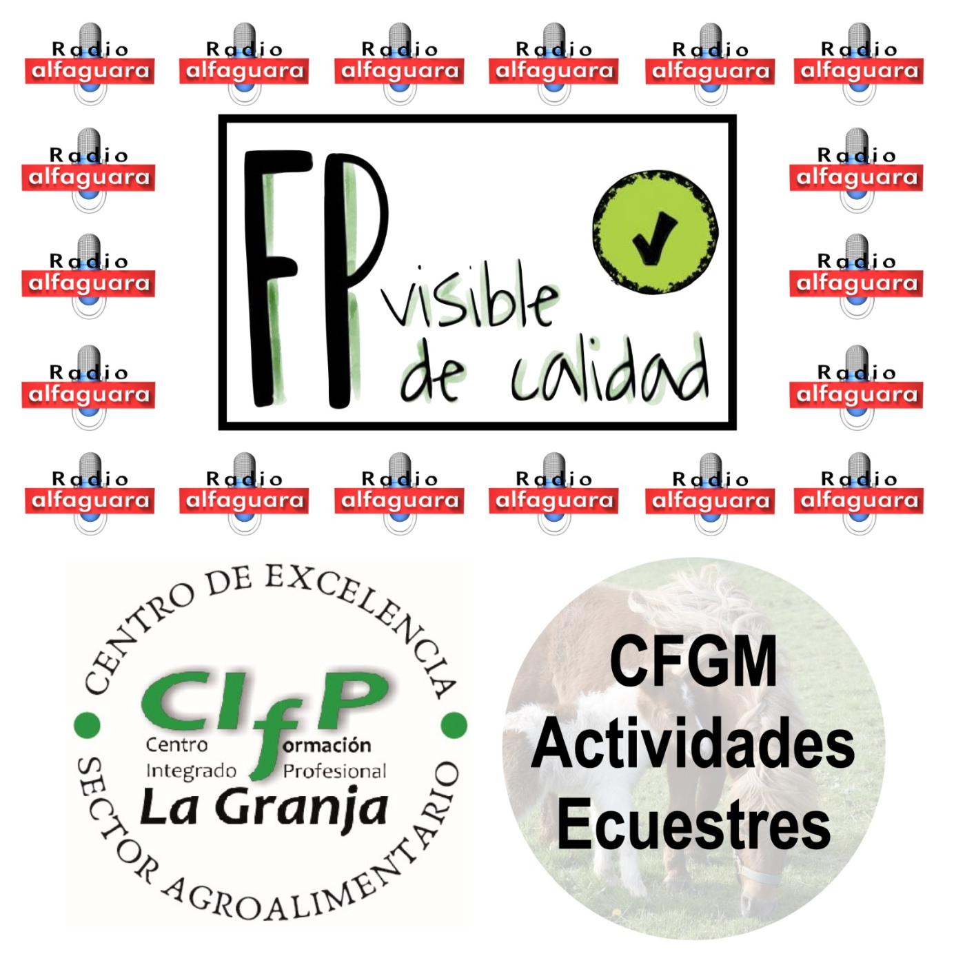 FP Visible, FP de Calidad 3x08 - 29 de noviembre 2023 - CIFP La Granja - CFGM Actividades ecuestres episode artwork