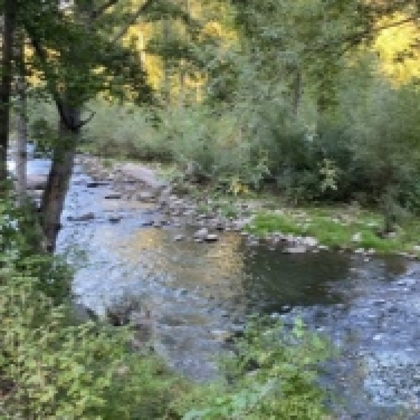 Repunt d’abocaments al medi fluvial: runa, pneumàtics i residus de plantacions de marihuana episode artwork
