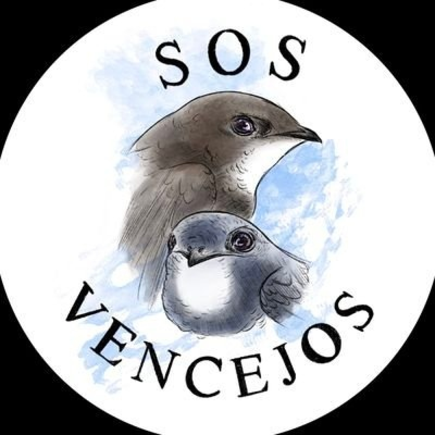Podcast Galaxia Verde (derechos animales)