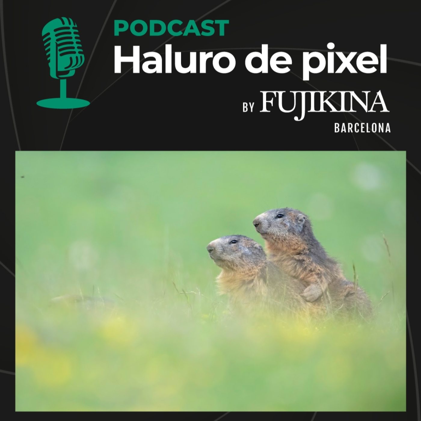 Podcast Oficial de Fujifilm España
