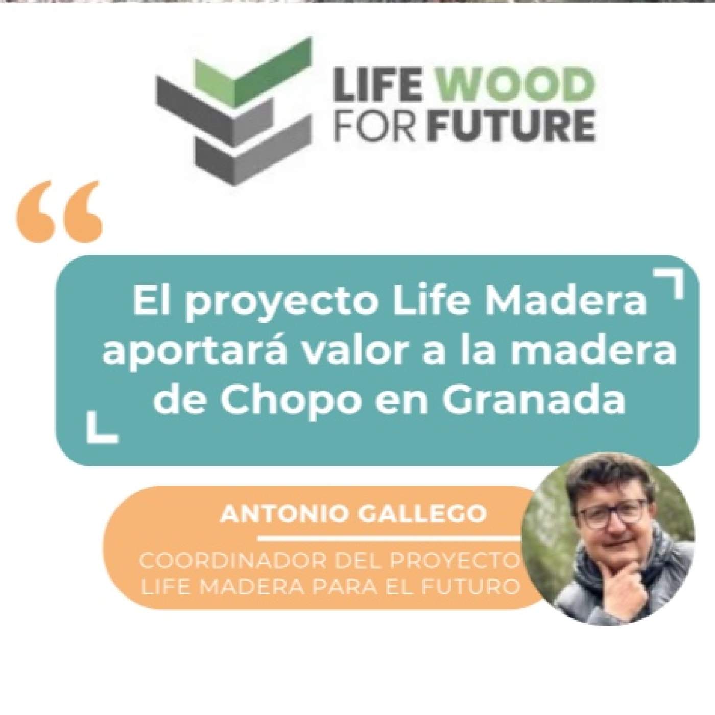 LND Proyecto LIFE MADERA PARA EL FUTURO 13 MAY 2025 episode artwork