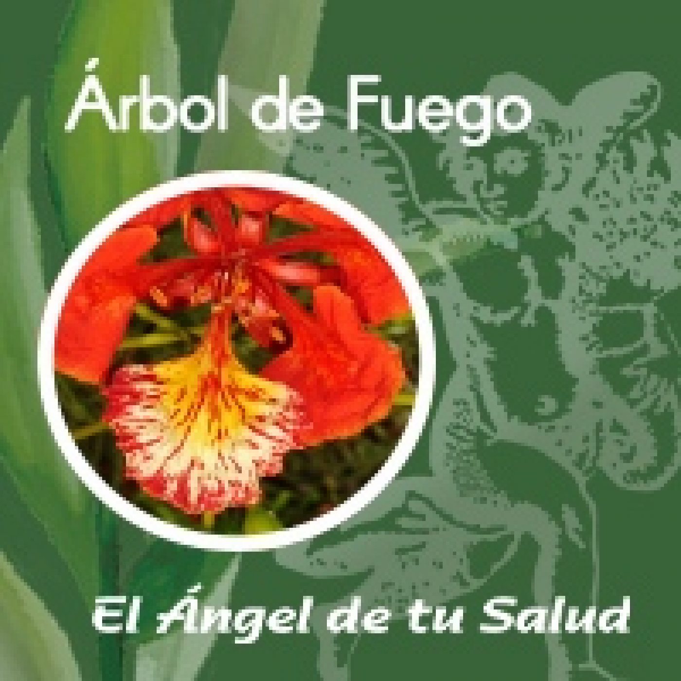 El Ángel de tu Salud - Árbol de Fuego**