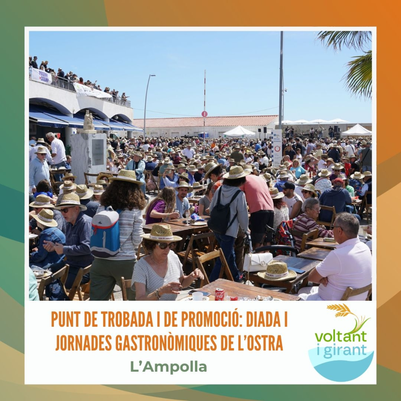 Punt de trobada i de promoció: Diada i Jornades Gastronòmiques de l’ostra episode artwork