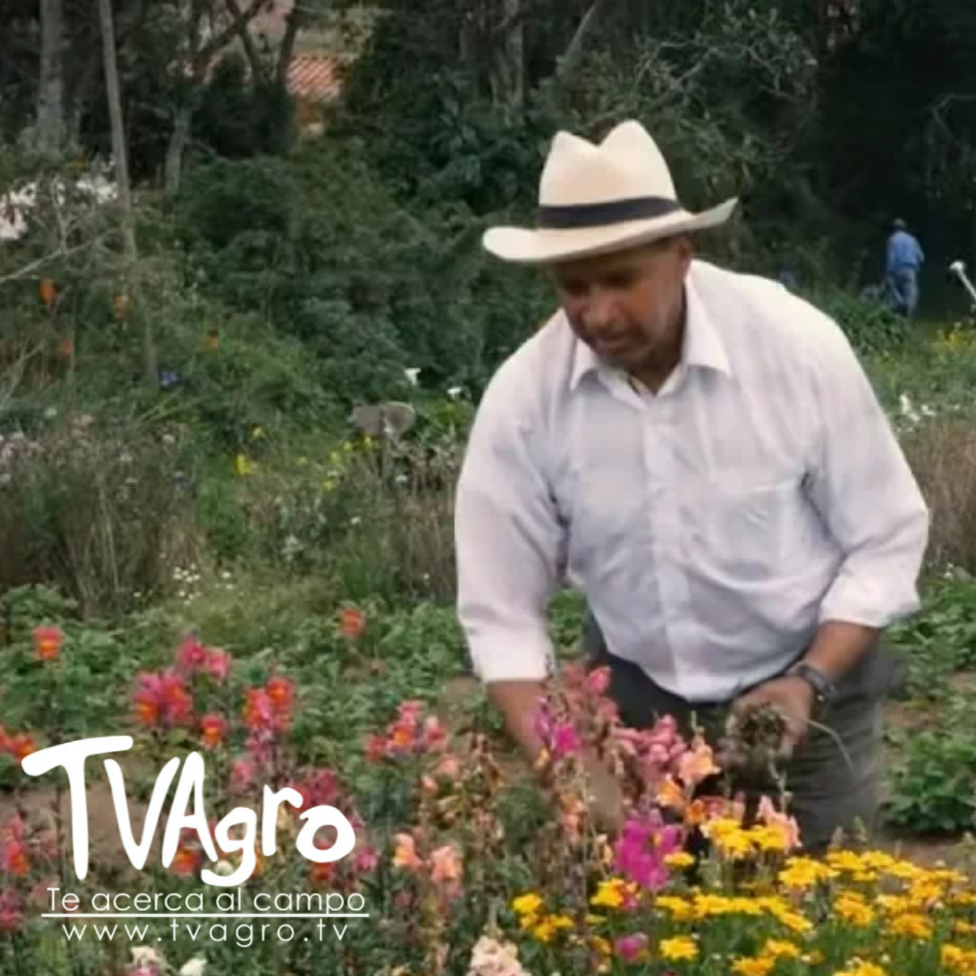 TV AGRO