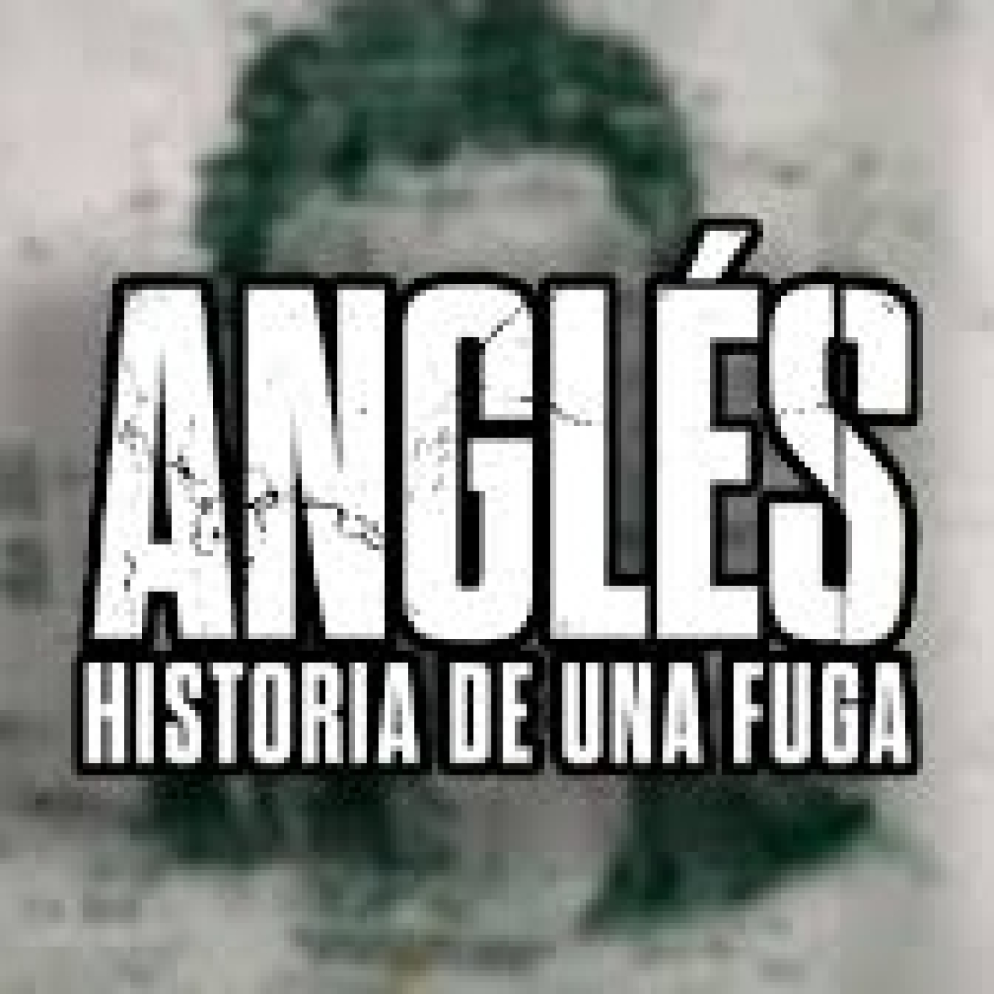 Informe Enigma