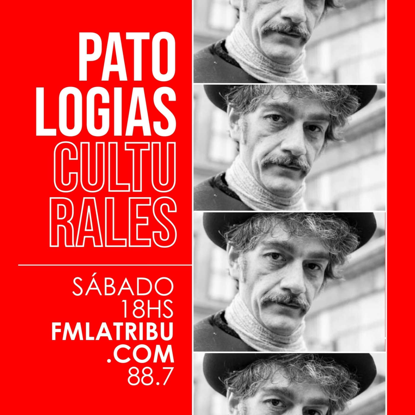 Patologías Culturales