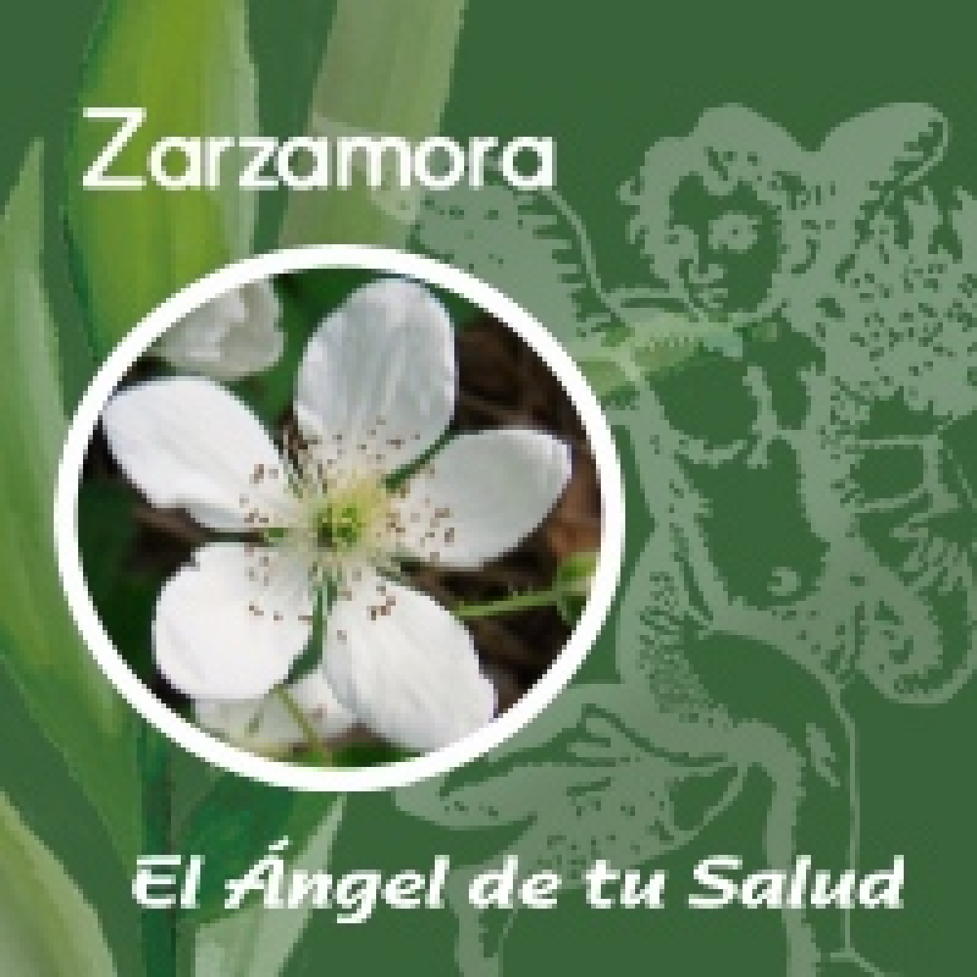 El Ángel de tu Salud - Zarzamora** episode artwork
