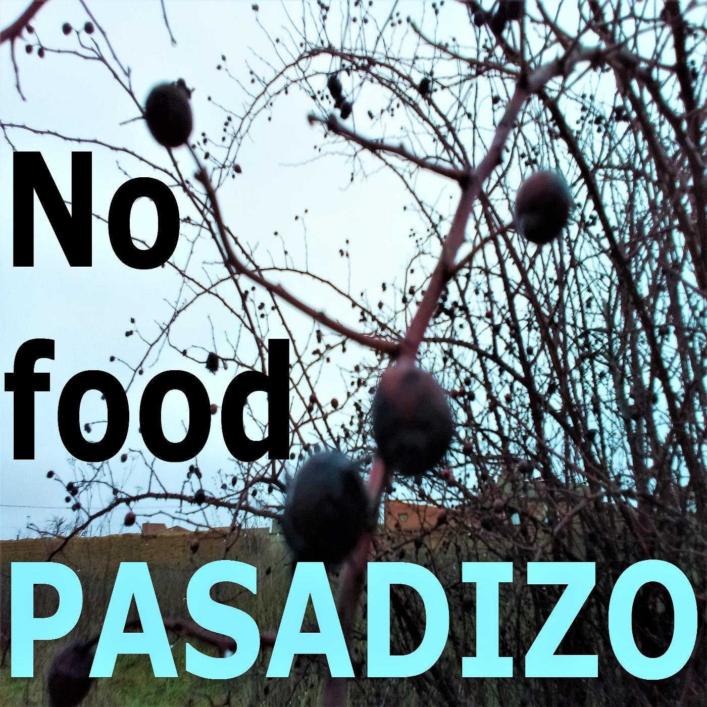 PASADIZO