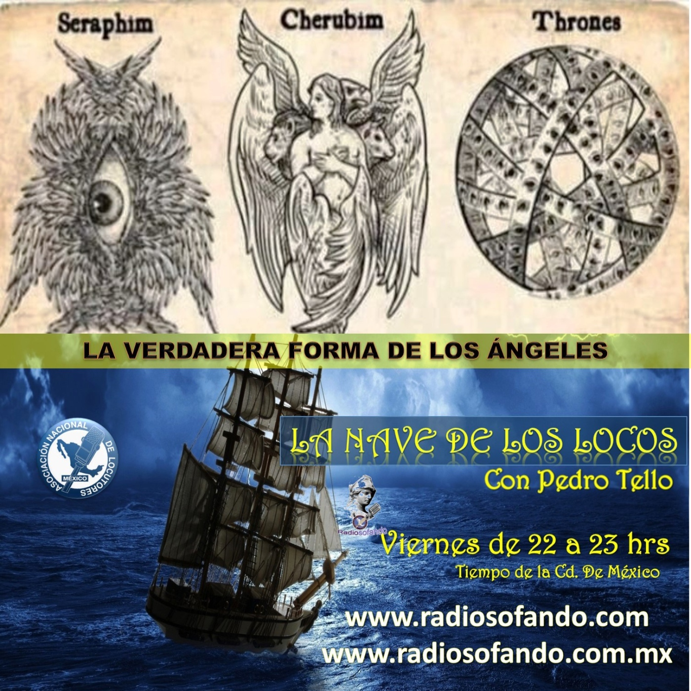 La Nave de los Locos_LA VERDADERA FORMA DE LOS ÁNGELES_08-12-23 episode artwork